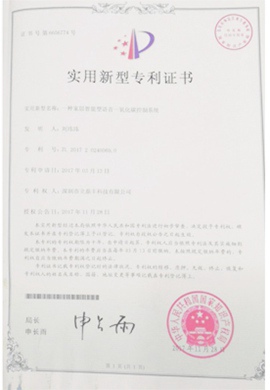 Patent 11