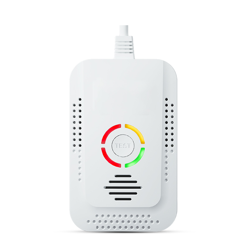 AC90-240V 2 in 1 Carbon Monoxide and Gas Detector ACJ-908COM