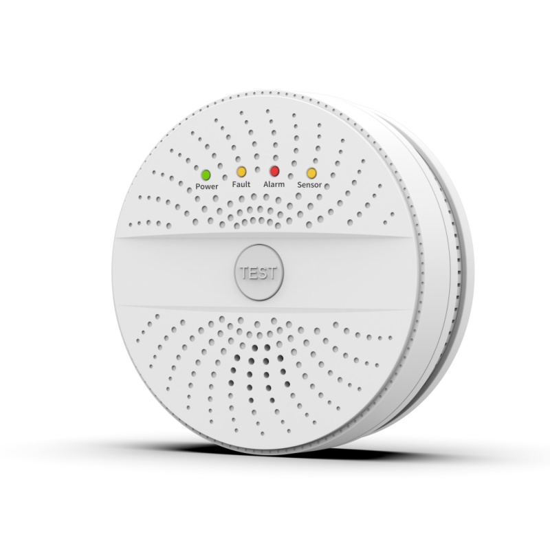 Standalone Carbon Monoxide Detector ACJ-915